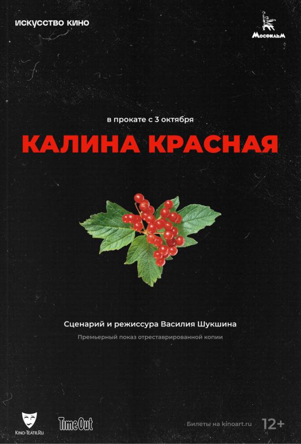 Фильм Калина красная 1973 смотреть онлайн с Марией Скворцовой и Георгием Бурковым